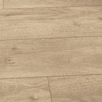 Meister Dekorbezeichnung: Eiche Caledonia 06421