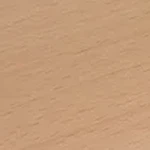 Meister Dekorbezeichnung: Buche 00019