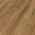 Dekor: Tacoma Oak amber 07455