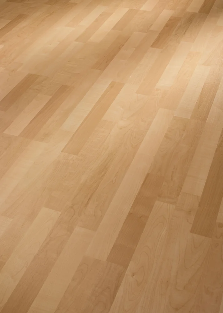 MeisterDesign. laminate LC 55 S 